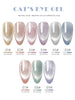9D Crystal Cat Eye Gel Nail Polish Holographic UV Soak Gel Varnish