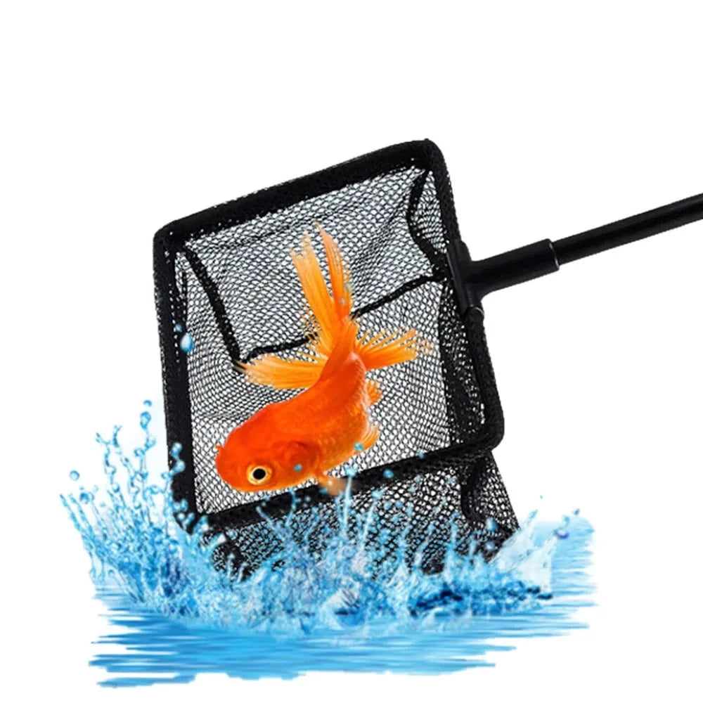 aquarium fish catching net Co-Op Ammonia spikes Imagitarium Aquarium net for Fish