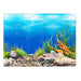 Aquarium Background Decoration Fish Tank Double-Sided HD Landscape Stickers