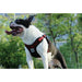 No-pull Sports Reflective Dog Harness For Medium Large Dogs Pitbull Bulldog Outdoor Dog Training Walking Safety Vest Harnesses