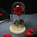 Artificial Eternal Rose LED Light Beauty & The Beast In Glass Cover Home Decor Gift