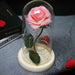 Artificial Eternal Rose LED Light Beauty & The Beast In Glass Cover Home Decor Gift
