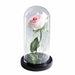 Artificial Eternal Rose LED Light Beauty & The Beast In Glass Cover Home Decor Gift