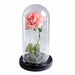 Artificial Eternal Rose LED Light Beauty & The Beast In Glass Cover Home Decor Gift