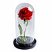 Artificial Eternal Rose LED Light Beauty & The Beast In Glass Cover Home Decor Gift