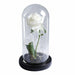 Artificial Eternal Rose LED Light Beauty & The Beast In Glass Cover Home Decor Gift