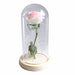 Artificial Eternal Rose LED Light Beauty & The Beast In Glass Cover Home Decor Gift