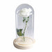 Artificial Eternal Rose LED Light Beauty & The Beast In Glass Cover Home Decor Gift