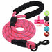 Durable Nylon Dog harness 1.5M Walking Training Pet Leashes Strap Belt Rope - Atom Oracle