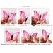 12pcs/set 3D Double Layer Colorful Butterfly Wall Sticker Home Decoration