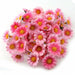 100PC/ Lot  2.5cm Mini Daisy Flowers Artificial Silk Flowers Party Wedding Home Decoration