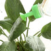 Gardening Plant Watering Attachment Spray-Head Irrigation Garden Tools