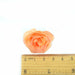 10/ 50/ 100pcs 2.5cm Mini Silk Artificial Rose Flower Heads For Wedding Party Home Decoration