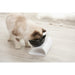 Pet Bowls With Raised Stand Non-Slip Double Pet Food Water Cat Dog Feeder Bowls