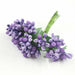 Mini Artificial Stamen Bud Bouquet Leaf Flower For Home Wedding Decor