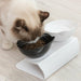 Pet Bowls With Raised Stand Non-Slip Double Pet Food Water Cat Dog Feeder Bowls