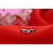 Sterling Silver Colorful Round Crystal Women Wedding Rings Fashion Jewelry