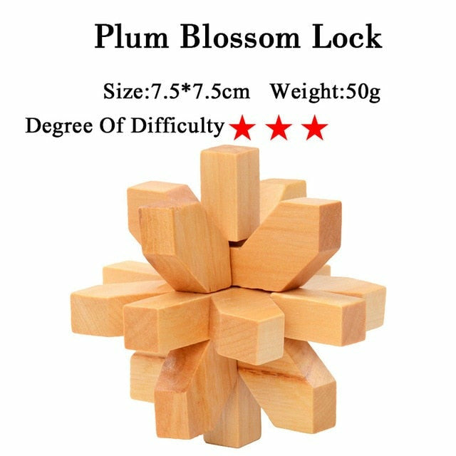 3D Wooden Interlocking Puzzles Game Brain Teaser Kong Ming Lock Toy ...