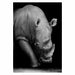 Canvas Painting Animal Wall Art Posters and Prints Wall Pictures Home Decor