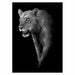 Canvas Painting Animal Wall Art Posters and Prints Wall Pictures Home Decor