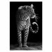 Canvas Painting Animal Wall Art Posters and Prints Wall Pictures Home Decor