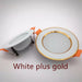 Mounted 5W 7W 9W 12W 15W LED Down-Light Driverless Designer Ceiling Lamps