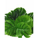 Artificial Plants Green Palm Leaves Monstera Home Garden Plant Decors