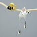 925 Sterling Silver Handmade Fine Jewelry 18K Gold Bee & Dripping Honey Stud Earrings