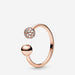 Authentic 925 Sterling Silver Gold Rose-Gold Coating Princess Sparkling Rings Women Jewelry