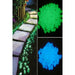 25/50pcs Glow In The Dark Garden Pebbles Luminous Stones Garden Path Patio Lawn Yard Decor