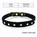 Cat Collar With Bell Beautiful Luxury Kittens Solid Pet Collar