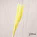 Bulrush Natural Dried Small Pampas Grass Artificial Plant Flower for Home Decor