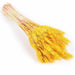 Bulrush Natural Dried Small Pampas Grass Artificial Plant Flower for Home Decor