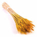 Bulrush Natural Dried Small Pampas Grass Artificial Plant Flower for Home Decor