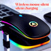 LED Backlit Rechargeable Wireless Silent Mouse USB Ergonomic Optical Gaming Mouse