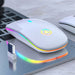 LED Backlit Rechargeable Wireless Silent Mouse USB Ergonomic Optical Gaming Mouse