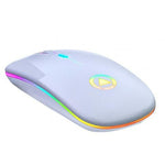 LED Backlit Rechargeable Wireless Silent Mouse USB Ergonomic Optical Gaming Mouse