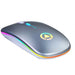 LED Backlit Rechargeable Wireless Silent Mouse USB Ergonomic Optical Gaming Mouse