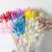 Bulrush Natural Dried Small Pampas Grass Artificial Plant Flower for Home Decor