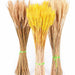 Bulrush Natural Dried Small Pampas Grass Artificial Plant Flower for Home Decor