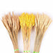 Bulrush Natural Dried Small Pampas Grass Artificial Plant Flower for Home Decor