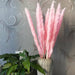 Bulrush Natural Dried Small Pampas Grass Artificial Plant Flower for Home Decor