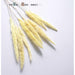 Bulrush Natural Dried Small Pampas Grass Artificial Plant Flower for Home Decor