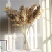 Pampas Grass Decor Plants Dried Flowers Home Wedding Decoration