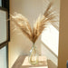 Pampas Grass Decor Plants Dried Flowers Home Wedding Decoration