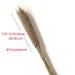 Pampas Grass Decor Plants Dried Flowers Home Wedding Decoration