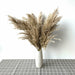 Pampas Grass Decor Plants Dried Flowers Home Wedding Decoration