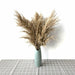Pampas Grass Decor Plants Dried Flowers Home Wedding Decoration