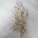 Pampas Grass Decor Plants Dried Flowers Home Wedding Decoration