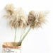 Pampas Grass Decor Plants Dried Flowers Home Wedding Decoration
